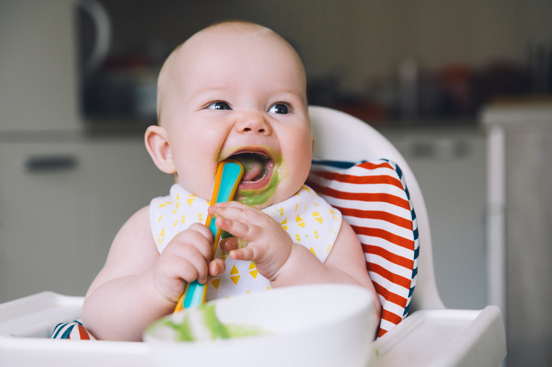 comidas para bebes de 6 meses