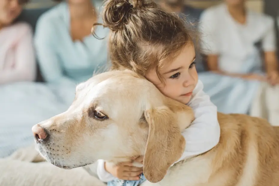 mascotas para ninos hiperactivos