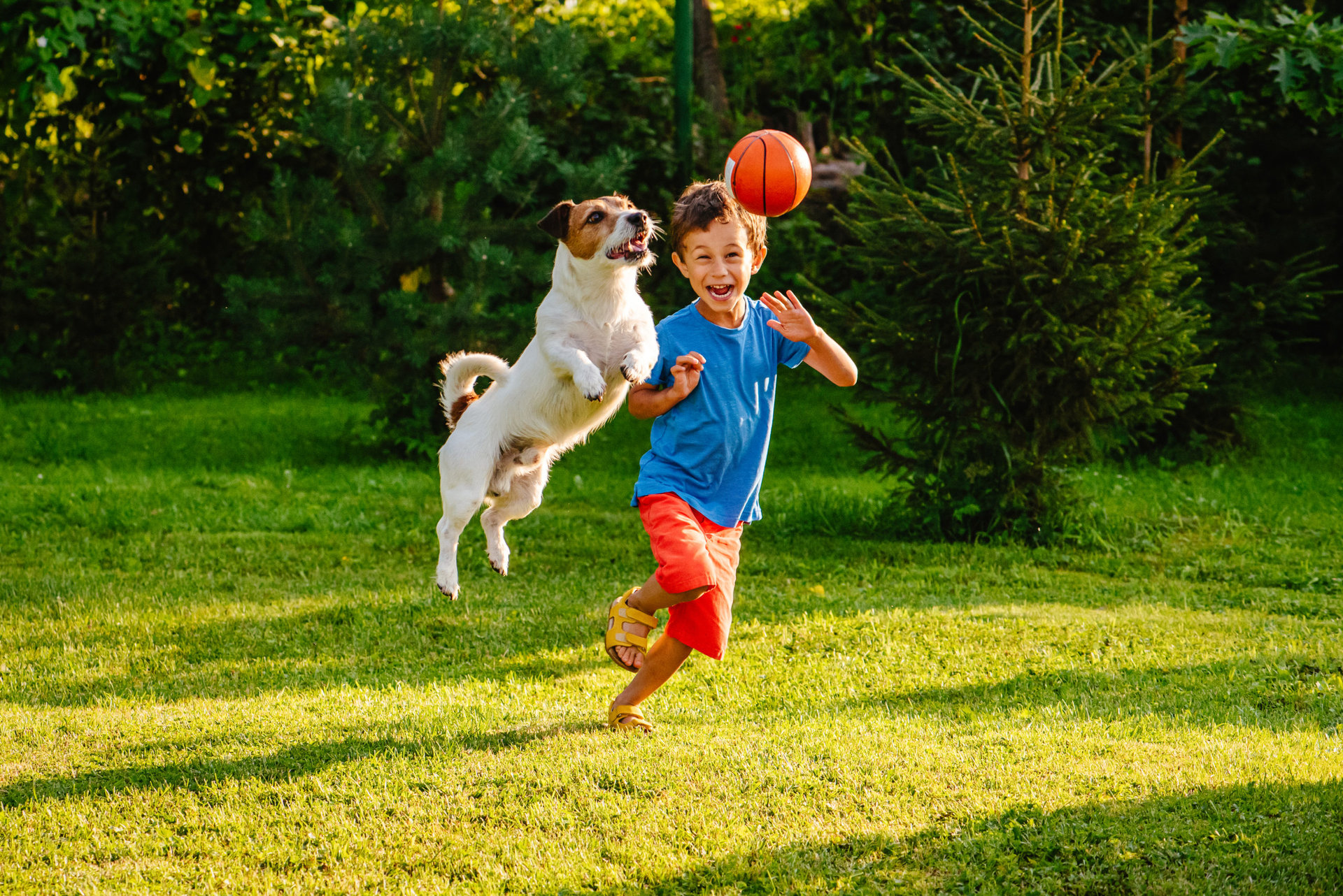 mascotas para ninos hiperactivos beneficios