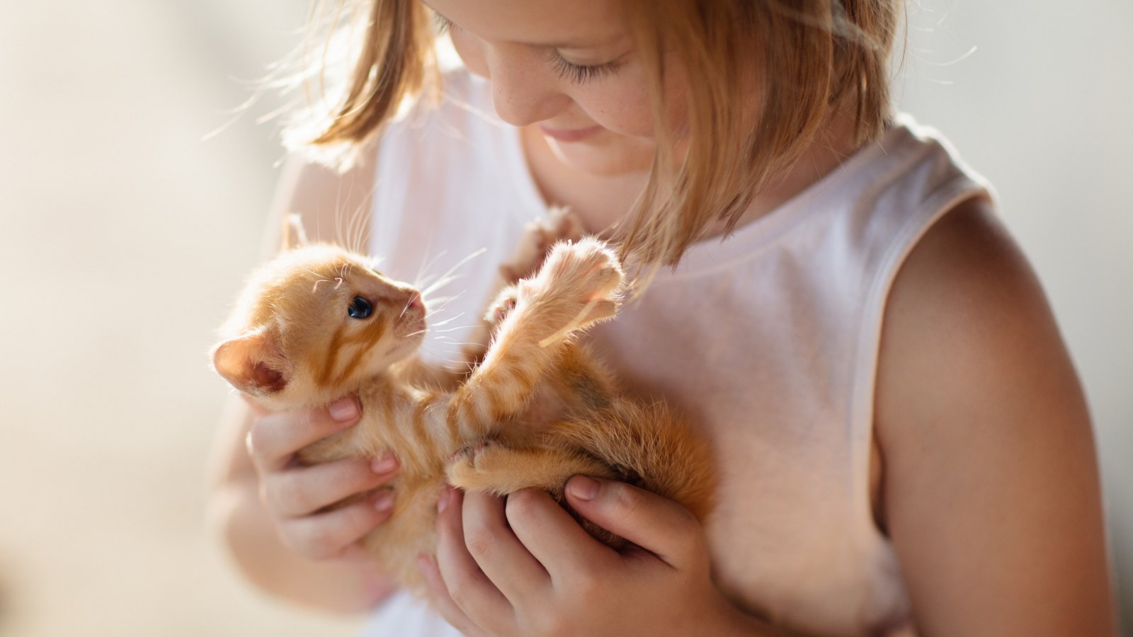 mascotas para ninos hiperactivos gatos